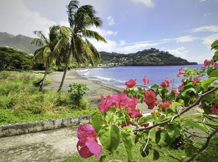 Grenadines Beach, Caribbean.の写真素材