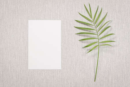 White invitation card on gray background with green plant leaf. To write a message, invitation,...