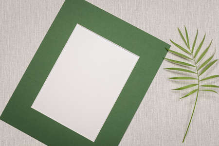 Photo frame on gray background with green plant leaf. To write a message, invitation, greeting, photograph.の写真素材