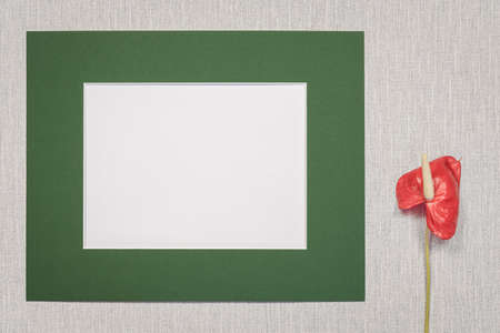 Photo frame on a wall in a living room on a plain background. To write a message, invitation, greeting, photograph.の写真素材
