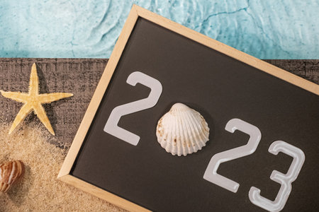 Happy New Year 2023 concept with seashells and a starfish by a swimming pool. Winter vacation in the sun.の写真素材