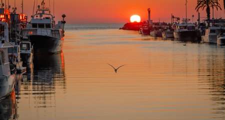 Sunset in the port of Grau du Roi, Camargue, France.の写真素材