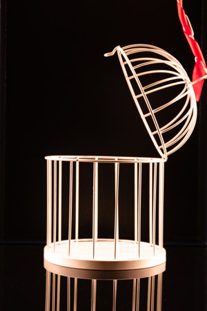 White bird cage with red ribbon on black background, close-upの写真素材