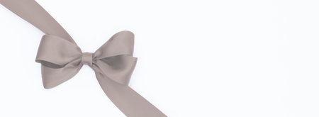 Brown satin bow isolated on white background with copy space for your textの写真素材