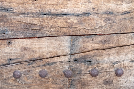 Wooden texture with rivets, close-up, background.の写真素材