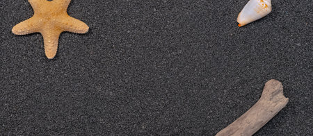Starfish and seashells on black sand background with copy spaceの写真素材
