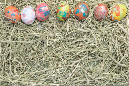 Painted easter eggs in a nest of hay. easter backgroundの写真素材
