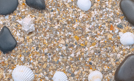 Seashells and pebbles on a beach sand backgroundの写真素材