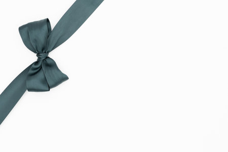 Blue silk ribbon bow isolated on white background with copy space for textの写真素材