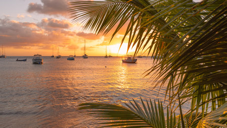Sunset on the Caribbean Sea with palm trees and boats in the foreground