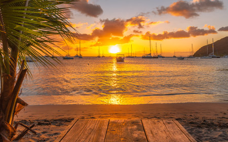 Sunset on the beach with palm trees and boats in the backgroundの写真素材