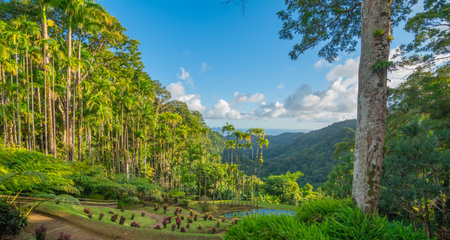 Gardens of Balata in Fort-De-France, Martinique. Exotic gardens of the French West Indies.