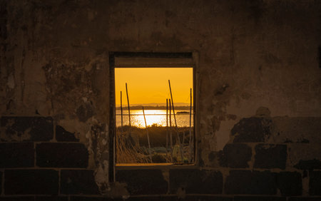View of a pond in the Camargue, a protected nature reserve, from a window of a fisherman's hut. South of France.の写真素材