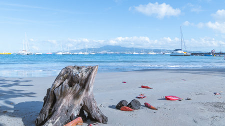 Wooden stump on the beach with yachts in the backgroundの写真素材