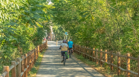 Rear view of active cyclist riding bicycle on bridge at sunny dayの写真素材