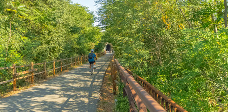 Rear view of a woman cycling on a bridge in the forest