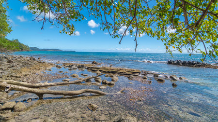 Tropical beach with palm trees and blue skyの写真素材