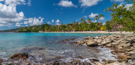 Tropical beach with palm trees and blue skyの写真素材
