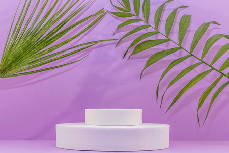 3d render of minimal product display podium with palm leaves. Minimalist background for cosmetic products.の写真素材