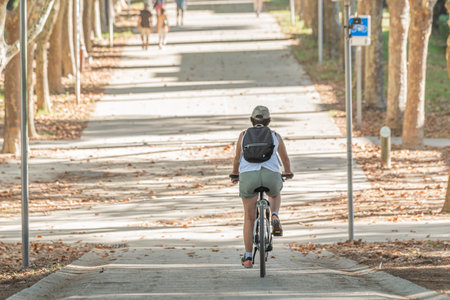 Rear view of a woman riding a bicycle in the park.