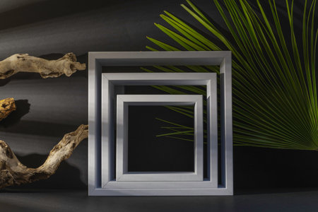 3d render of minimal geometric shapes with palm leaves on black background