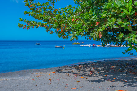 Beach in the town of Saint Pierre in the north of the island of La Martinique, French West Indies.の写真素材