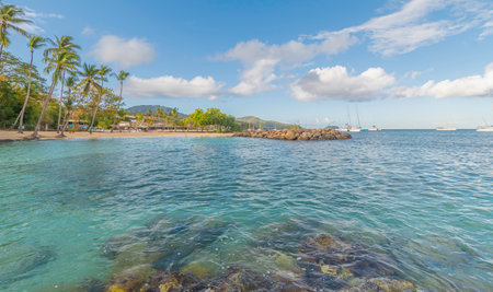 Tropical beach with palm trees and yachts in the Pointe du Bout in Trois-ilets, Martinique, Caribbean Sea, French West Indies.の写真素材