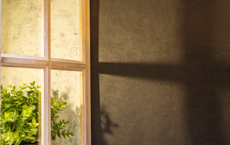 Wooden window and green plant on brown wall background with copy space