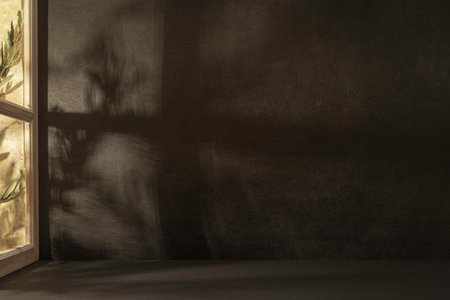 3d rendering of empty room with dark concrete wall and plant shadow
