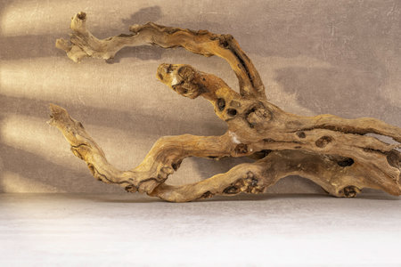 Wooden driftwood on a light background, with space for text