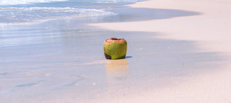 Coconut on the beach in the summer. Selective focus.の写真素材