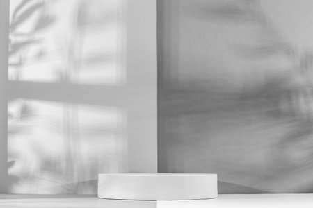 3d render, abstract background, black and white, minimal scene with podiums for product presentationの写真素材