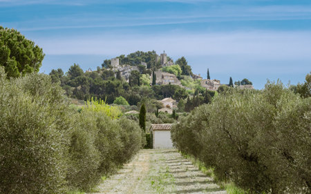 Provencal village of EygaliÃ¨res in the Alpilles, village perched in the middle of olive fields near Arles and Baux de Provence. South of France.の写真素材