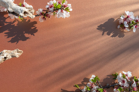 Cherry blossoms on a brown background with space for text.の写真素材