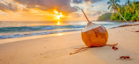Coconut on a deserted tropical beach without anyone with a sunset.の素材