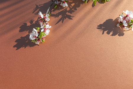 Blossoming branch of peach on a brown background. Copy spaceの写真素材