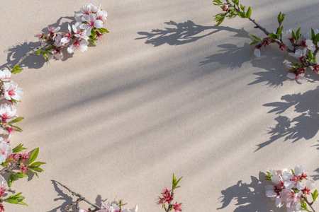 Beautiful blooming almond tree branches on a light background with shadowsの写真素材