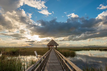 Boardwalks on the lake in the national park, Sam Roi Yod National Park, Thailandの写真素材