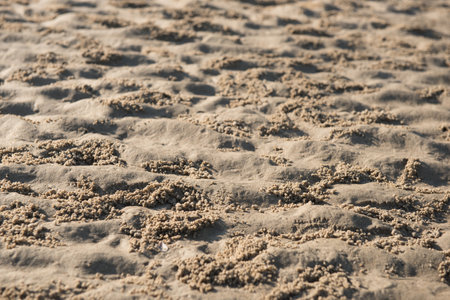 A crab's hole on sand background and texture.Selective focus.の写真素材