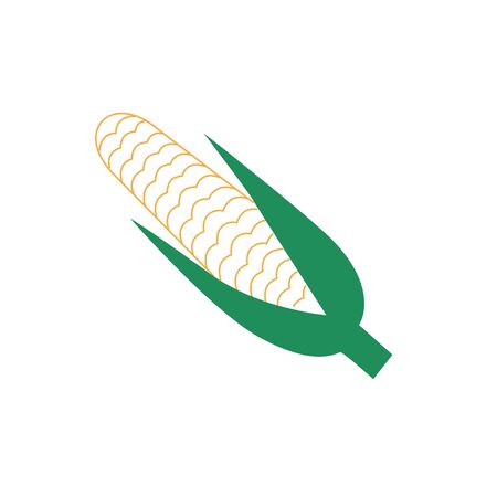 corncob vector illustration isolated on white backgroundのイラスト素材