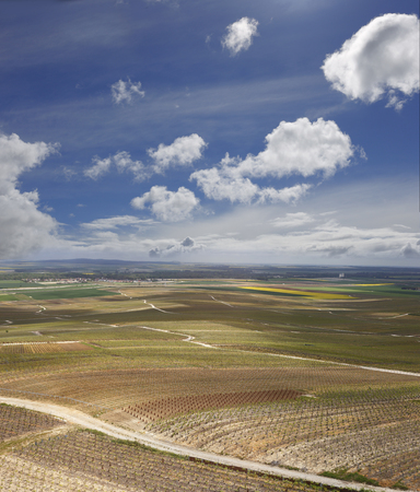 vineyards in the Champagne wine region franceの写真素材