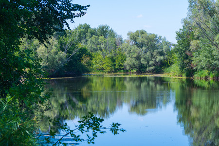 Fresh green leaves of trees and reeds are reflected in the blue calm water of the quiet river. Warm summer noon in the middle climatic zone.の写真素材