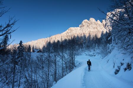 A trekker snowshoeing in the soft alpine snow.の写真素材