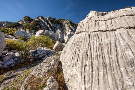 A net of rock lines on a mountain wall in the Apls.の写真素材