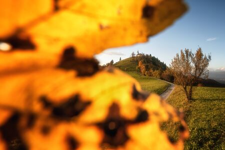 The beautiful fairy hill of Sveti Jakob in autumn at sunset.の写真素材