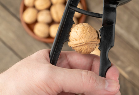 Hand cracking walnut witt unfocused nuts on the background.の写真素材