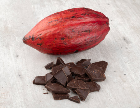 Red cocoa and some dark chocolate pieces.の写真素材