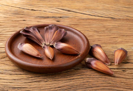 Araucaria pine tree seeds over wooden plate. Typical brazilian june festival ingredient.