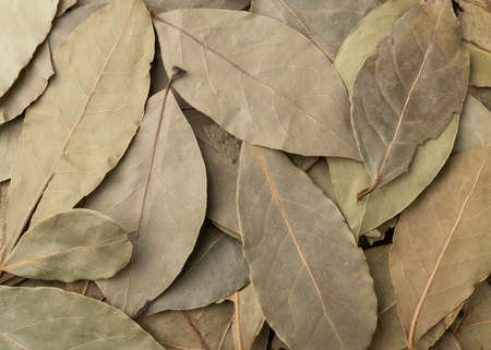 Top view, closeup of dried bay leaves. Food backdrop.の写真素材