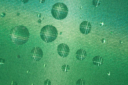 Abstract green photography backdrop with circles and texture.の写真素材